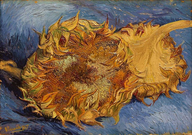 Vincent van Gogh, "Sunflowers" (1887), oil on canvas, one of the 17 paintings by the aritst held by the Metropolitan Museum of Art, which are on view together for the first time in a decade (via Metropolitan Museum of Art)