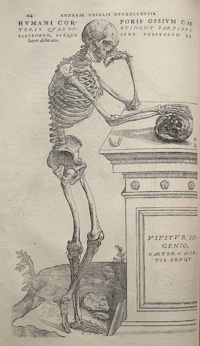 Illustration from Andreas Vesalius's "De humani corporis fabrica" (1543) (via Wikimedia)
