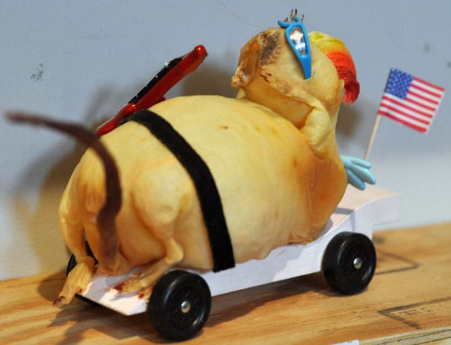 USA! USA! USA! screams Seokyeong Yoon