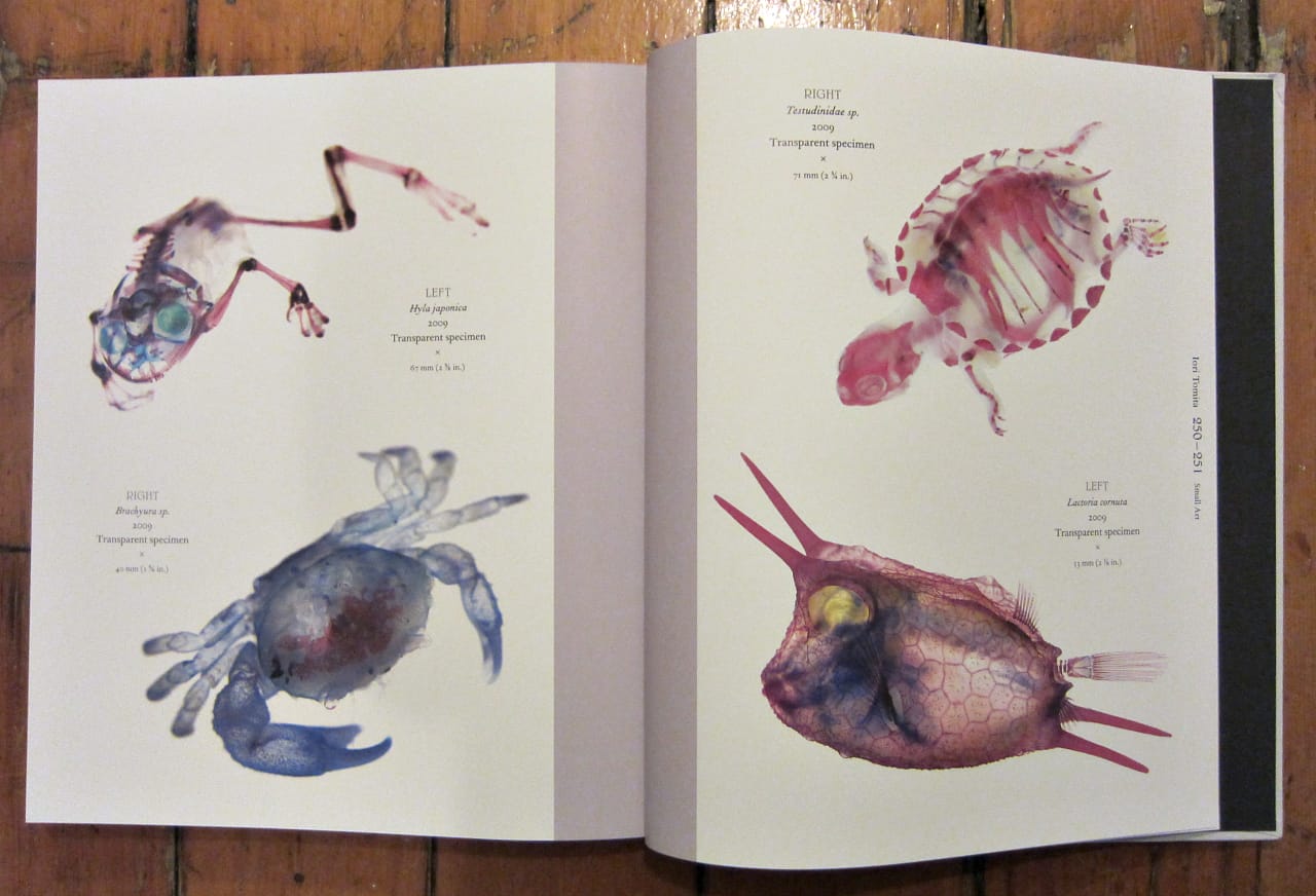 "Small" art by Boa Mistura in "Big Art/Small Art" (photograph by the author for Hyperallergic)