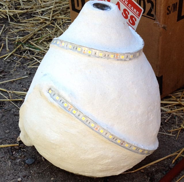 The time capsule inside Connaughty's ark