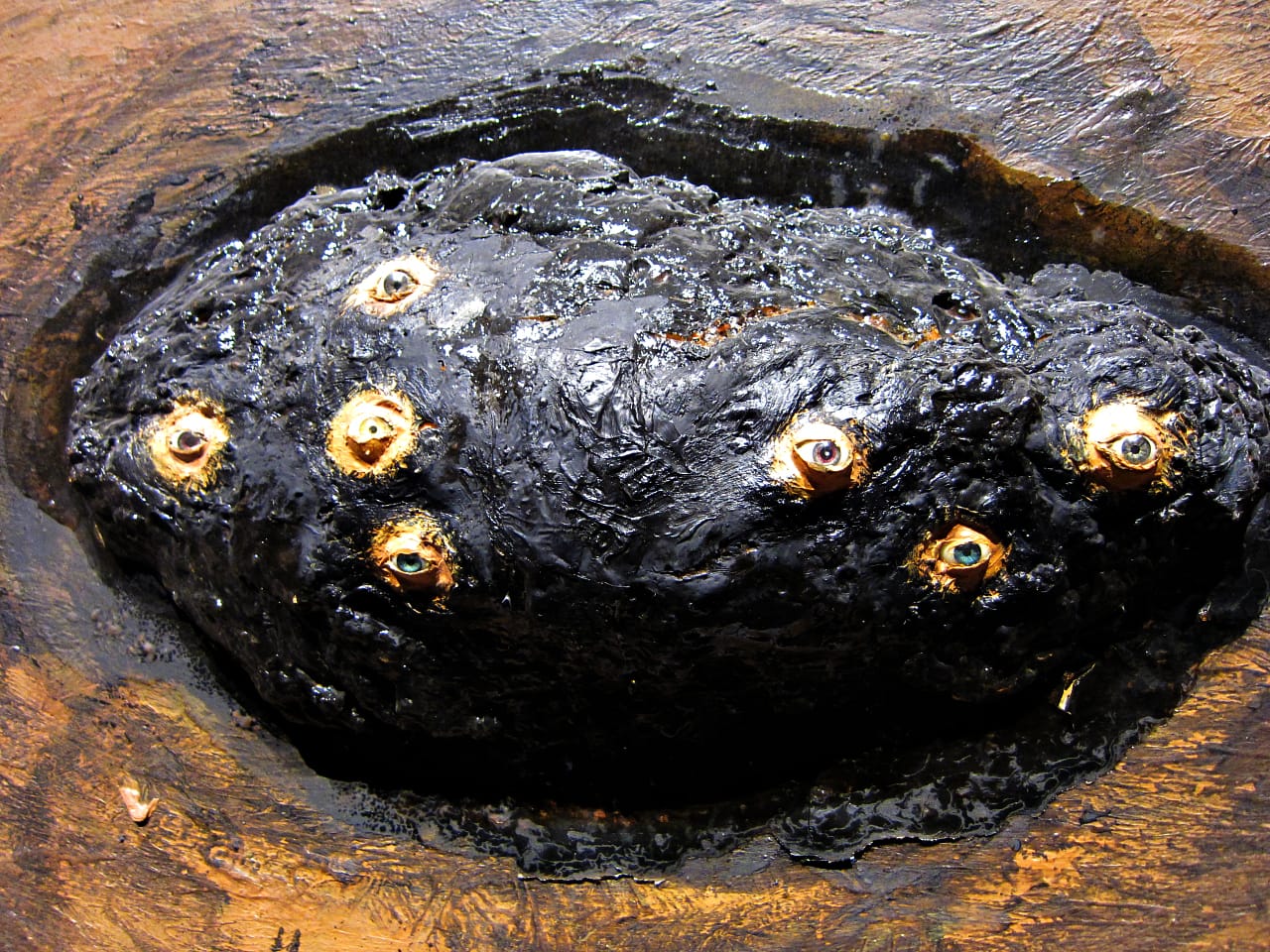 David Lynch, "Rock with Seven Eyes" (1996) (detail), oil & mixed media on canvas