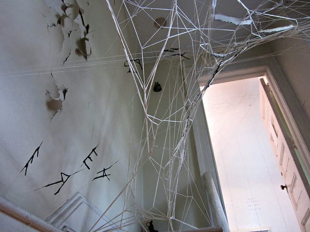 Installation by Gabrielle Duggan