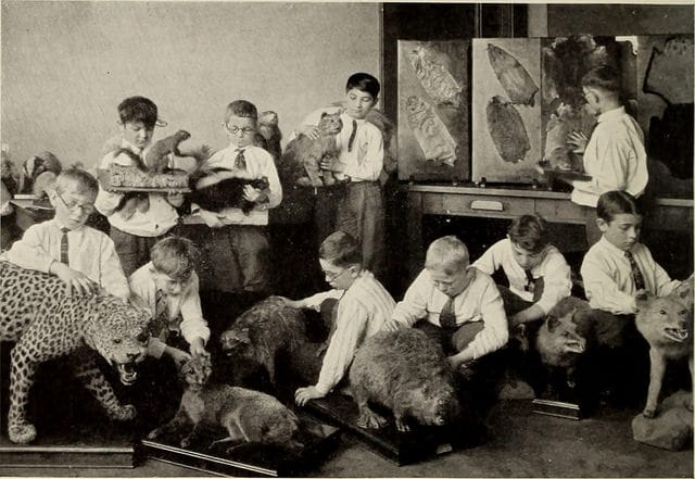 Blind children studying natural history in "General guide to the exhibition halls of the American Museum of Natural History" (1911) (via Internet Archive Book Images)