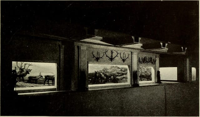 American Museum of Natural History "Guide leaflet" (1901) (via Internet Archive Book Images)