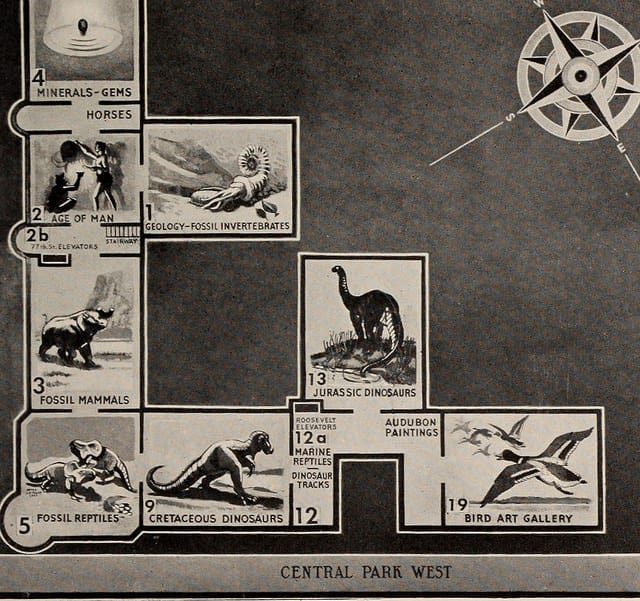 "General guide to the exhibition halls of the American Museum of Natural History" (1911) (via Internet Archive Book Images)