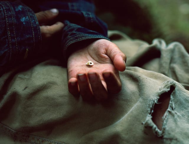 Justine Kurland, Baby Tooth (2011)