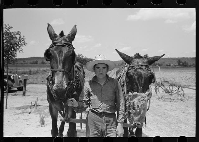 Males in Vian, Oklahoma, photograph by Russell Lee (June 1939) (via Photogrammar/Library of Congress)