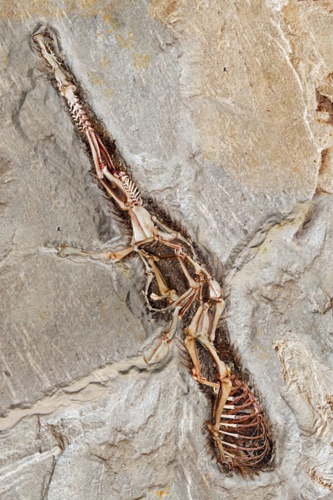 Imran Hussain Piplu, "The Utopian Museum" (2011), digital Print on archival paper, 55 x 36 in (click to enlarge)