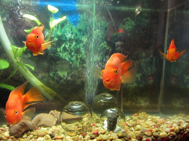 Prune  Nourry's  “Imbalance” installation in a Chinatown foot-massage parlor