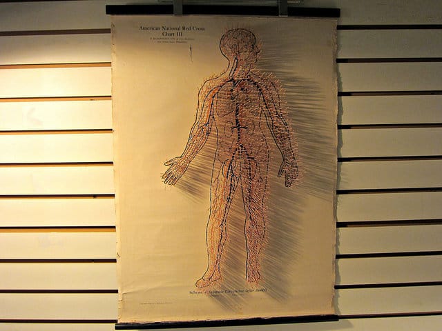 Prune  Nourry's  “Imbalance” installation in a Chinatown foot-massage parlor