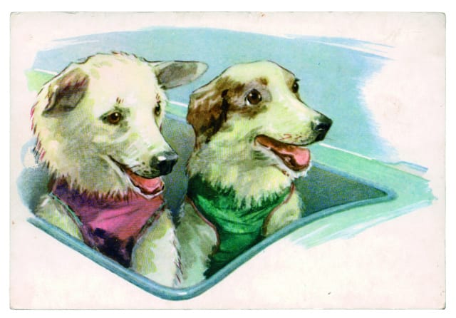BELKA STRELKA CARTOON POSTCARD Postcard, USSR (1972) A postcard depicting Belka and Strelka in the ‘cockpit’ of their rocket. By the artist L. Aristov, from the collection titled ‘Friends of Man’.  © FUEL Publishing 