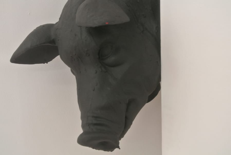 2014-10-16 14_Fotor3