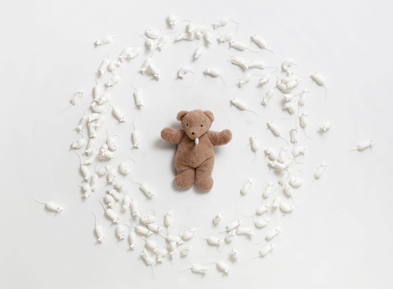 8-Hovnanian, Rachel Lee_ Poor Teddy_2014_Nylon, oil, teddy bear, knife, silicone_Dimensions variable_(View #2) (1)