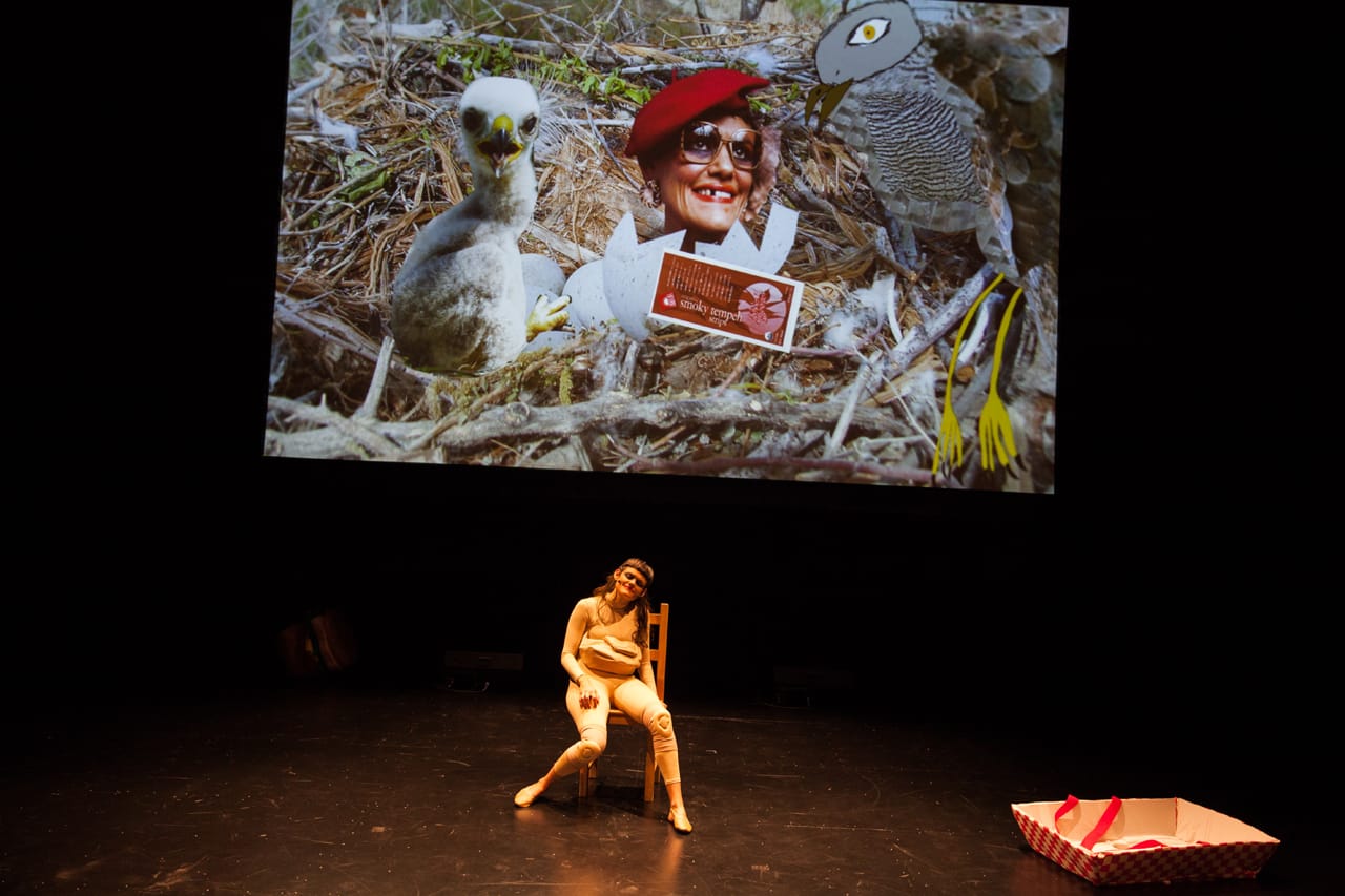 Dynasty Handbag performing 'Soggy Glasses: A Homo’s Odyssey' at BAM 