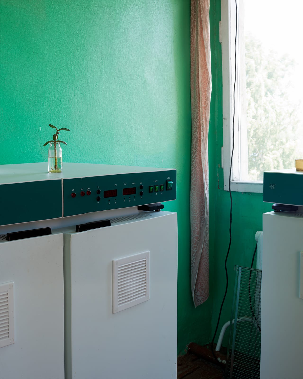 "Kuban Experimental Station, Russia" by Dornith Doherty, 2014, archival pigment photograph  (click to enlarge)