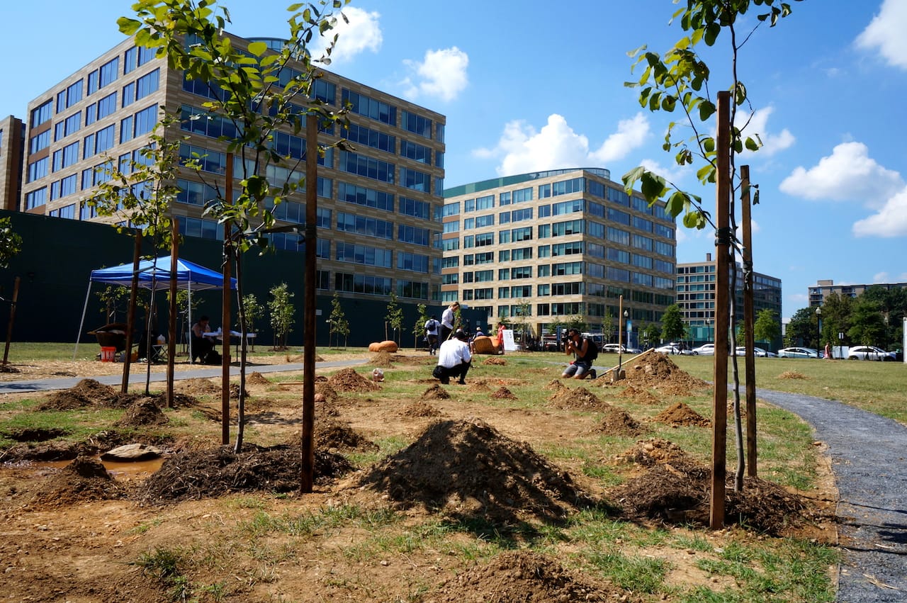 A view of Peter Hutchinson’s “Thrown Rope DC” (trees) and Eliza and Nora Naranjo Morse’s “Digging” in ‘Nonuments’ park