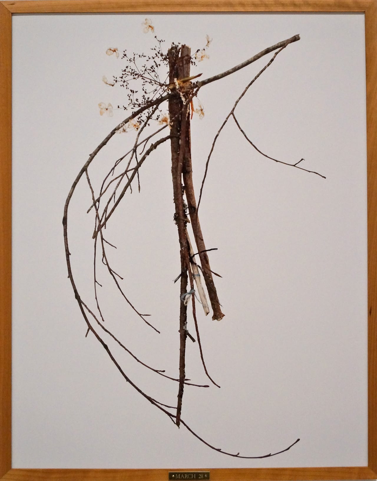 Matthew Jensen, detail of "March 27–April 5" (from the '31 Winter Walks' series) (2012)