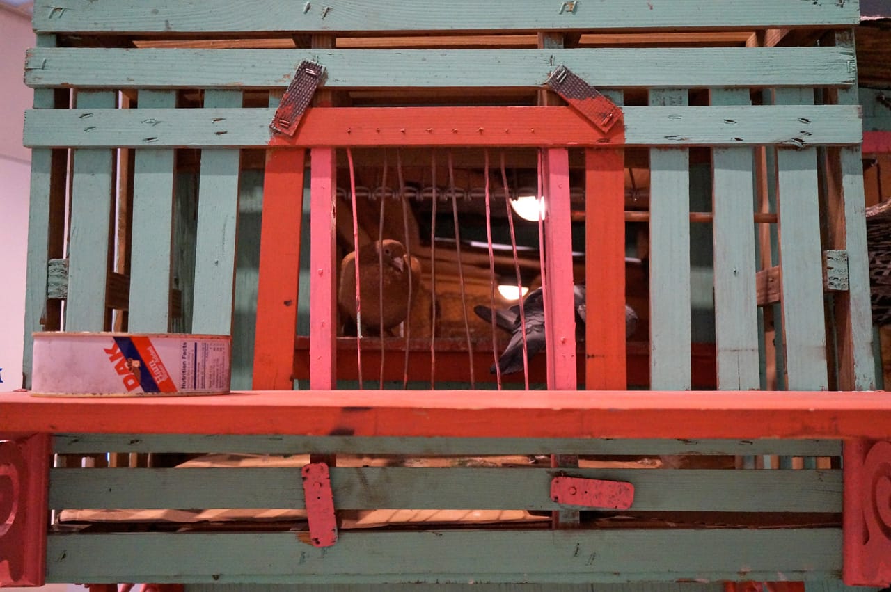 Duke Riley, detail of "Pigeon Loft" (from 'Trading with the Enemy') (2012–13)