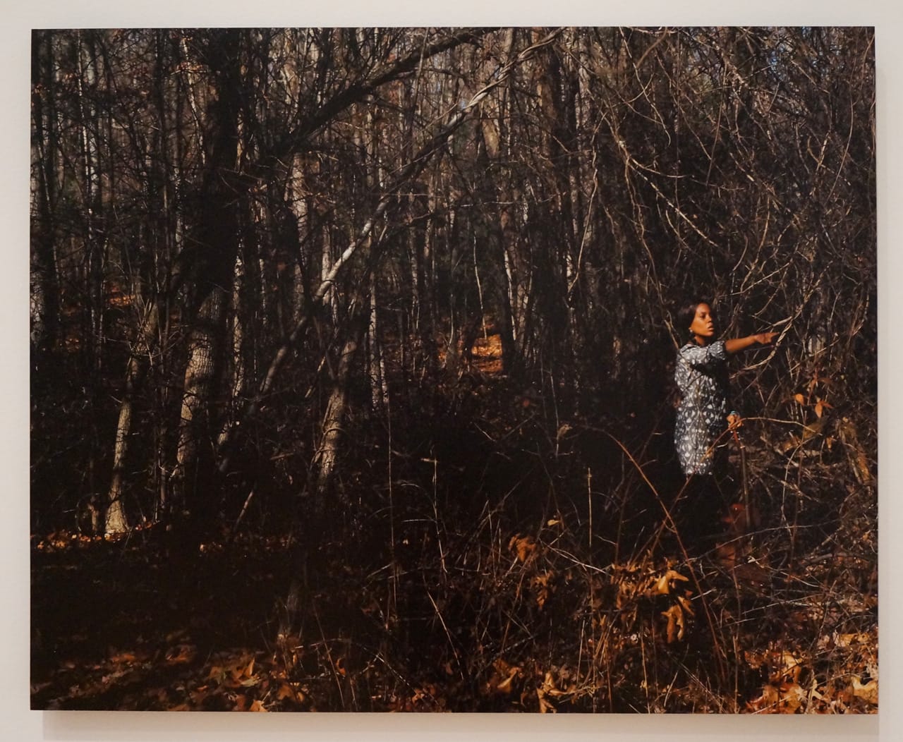 Xaviera Simmons, "Thundersnow Road" (from the 'Thundersnow Road' series) (2010)