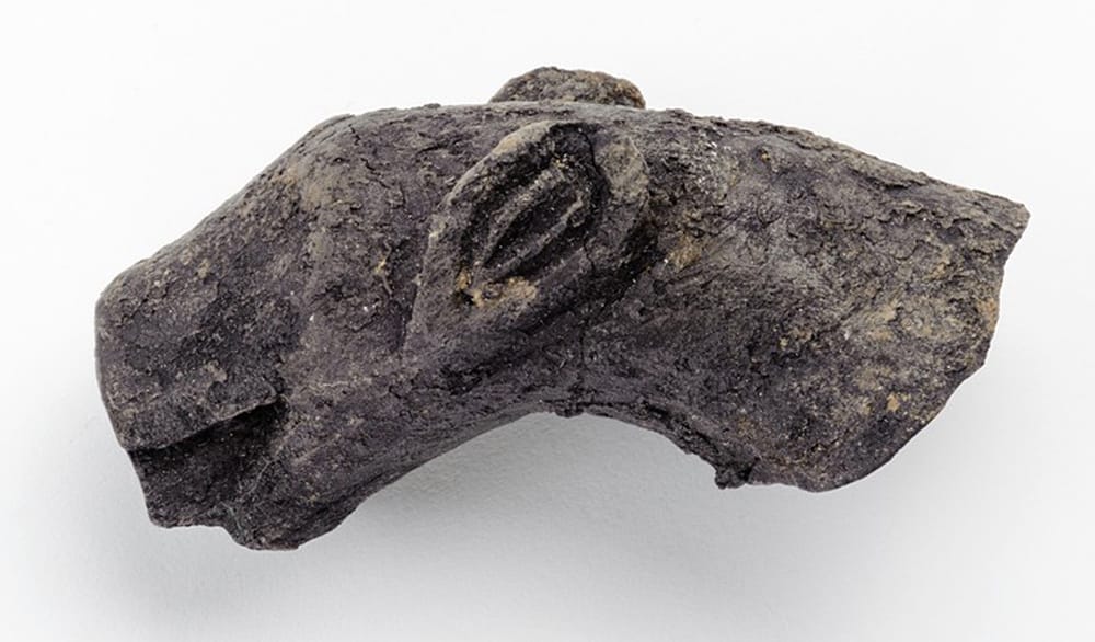 Part of a wooden handle shaped like a panther's head, found in a Christian temple in Ukek