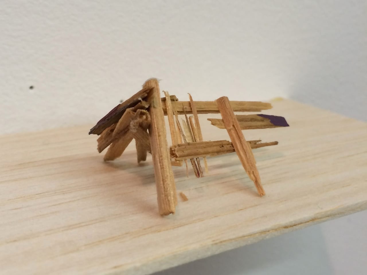 A sculpture made from wood splinters from Liz Sweibel's pop-up studio at 295 Douglass Street