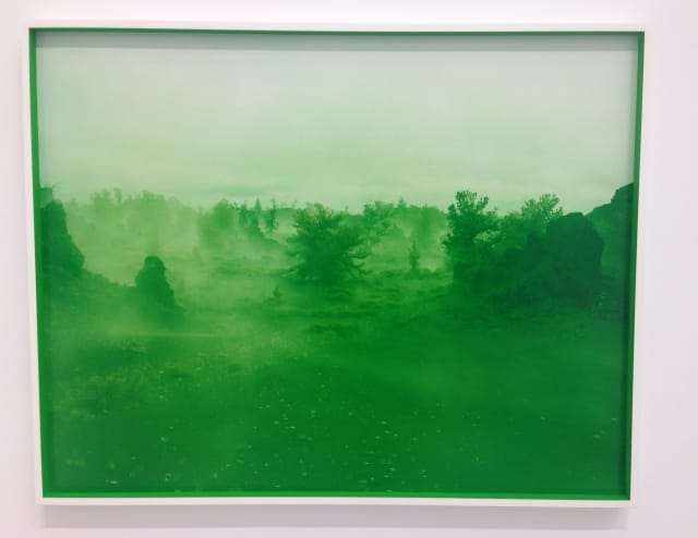 Wilderness of Mirrors, Idaho, 2014. Image by the author.