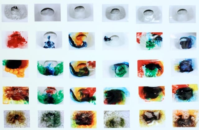 Jimena Garnier, "Ephermeral" series of thirty photographs (2012) (photo courtesy of the artist)