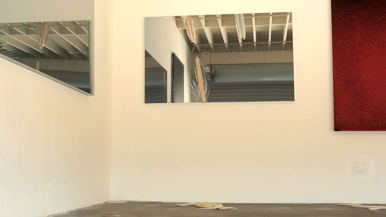 Video still of albino morph California king snakes with installation view of 'John Knuth: Base Alchemy' at 5 Car Garage (video by Andy Featherston)