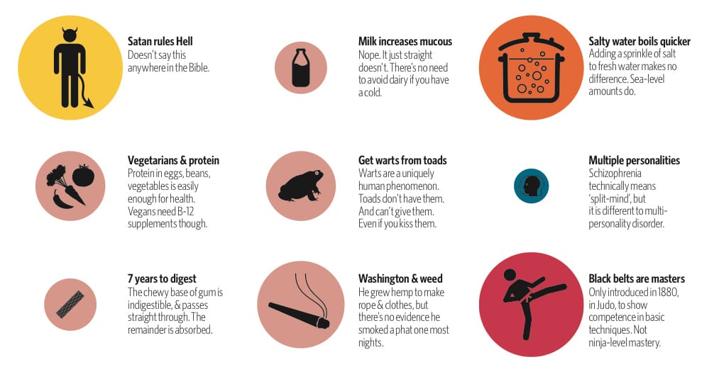 Detail of "Common Mythconceptions II: Most Contagious Falsehoods," by David McCandless from "Knowledge Is Beautiful"