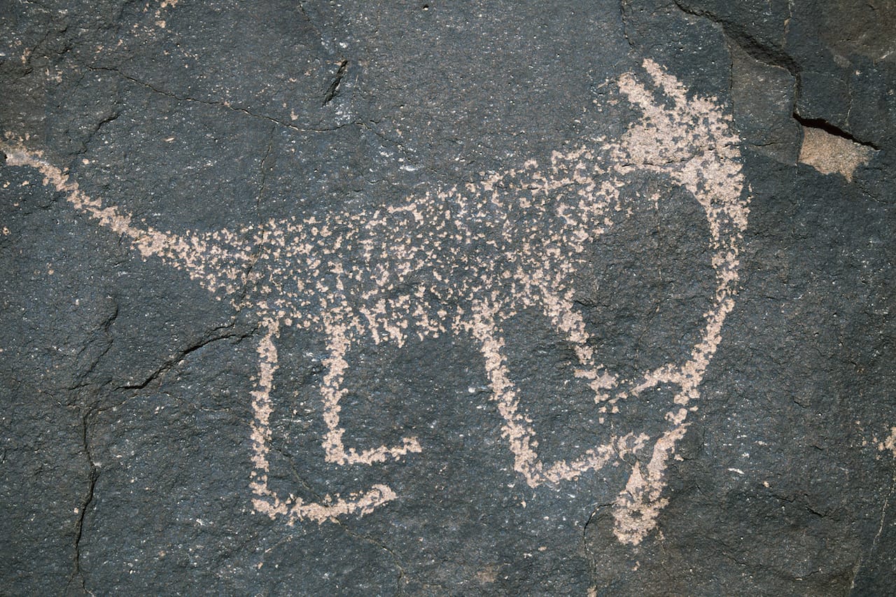 Wells Petroglyph Preserve Mesa Prieta, NM Photograph © Richard Fenker, 2014, courtesy The Cultural Landscape Foundation.