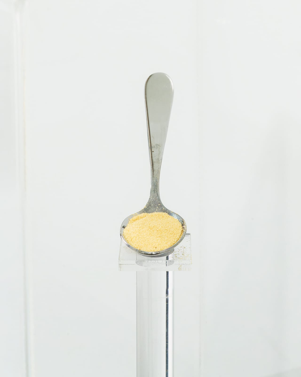 "Smallest Seeds in the World, Australia" by Dornith Doherty, 2013 30.25 x 24.2 inches, archival pigment print  (click to enlarge)