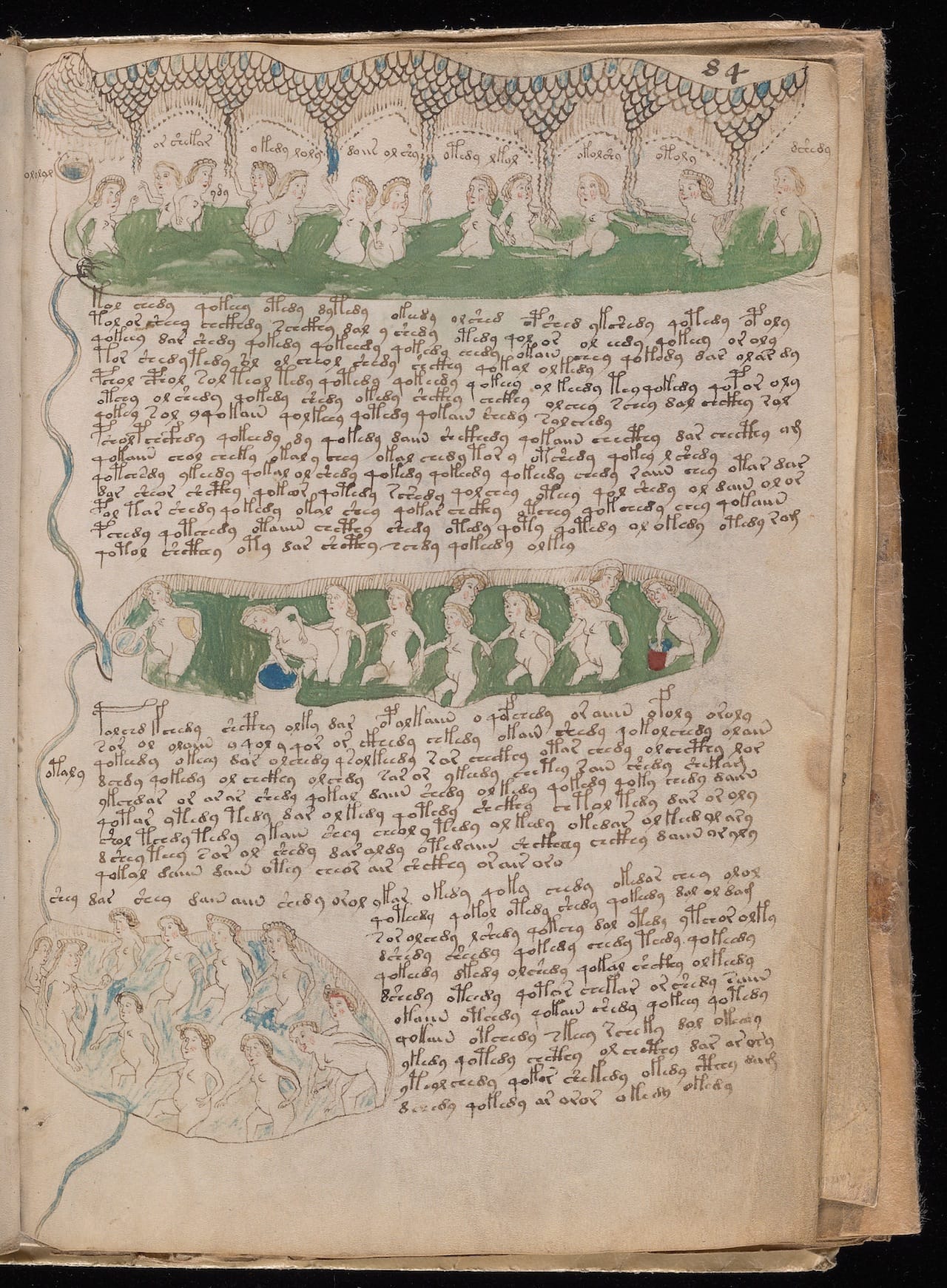 Voynich Manuscript (courtesy Yale University Library)