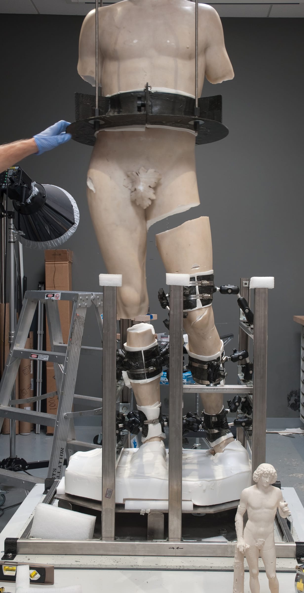 Adam in conservation