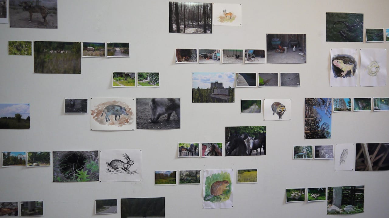 Anna Jermolaewa, "Safari Chernobyl" (2014) installation view