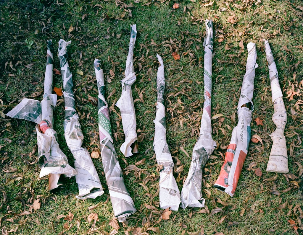 McNair Evans, "Confessions for a Son," showing shotguns wrapped in newspaper