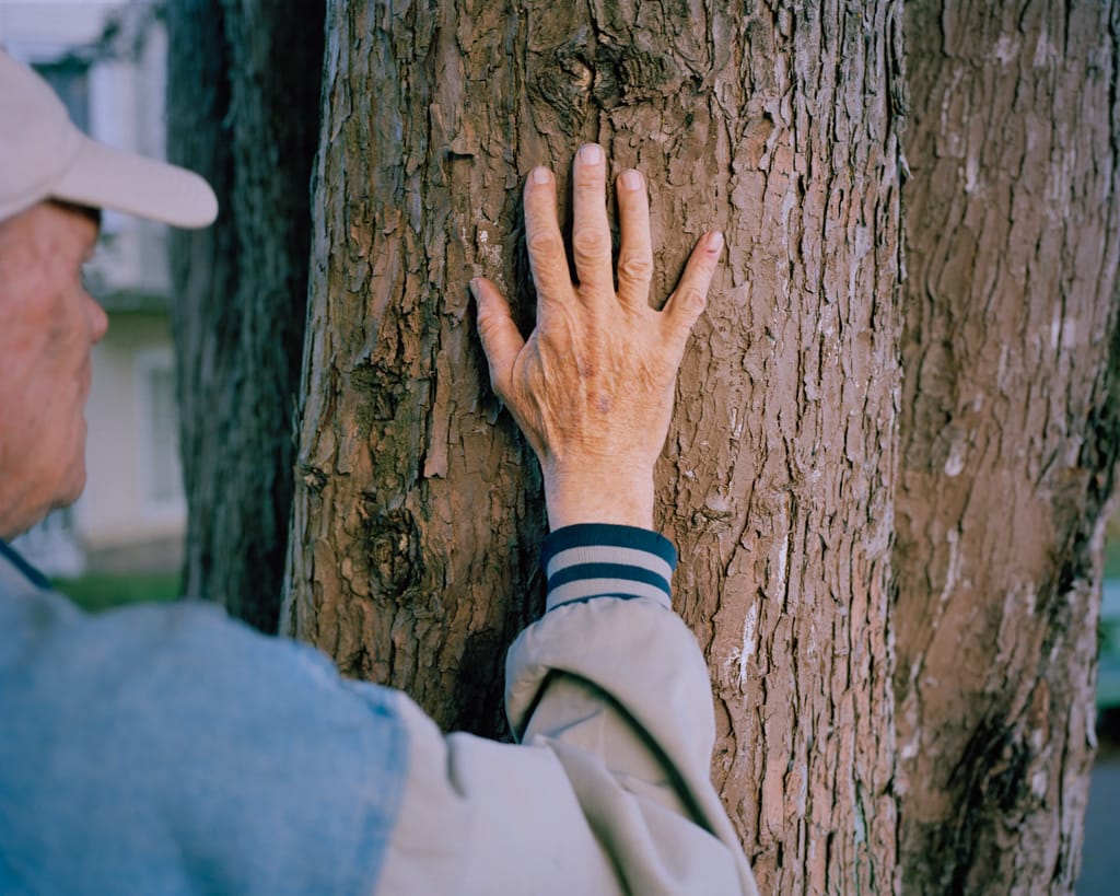 McNair Evans, "Confessions for a Son"