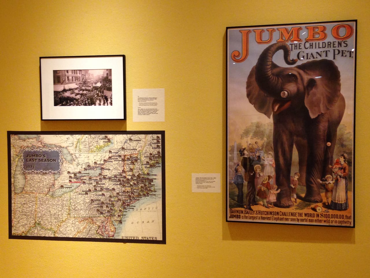 Installation view, 'Jumbo: Marvel, Myth, and Mascot' at the Tufts University Art Gallery
