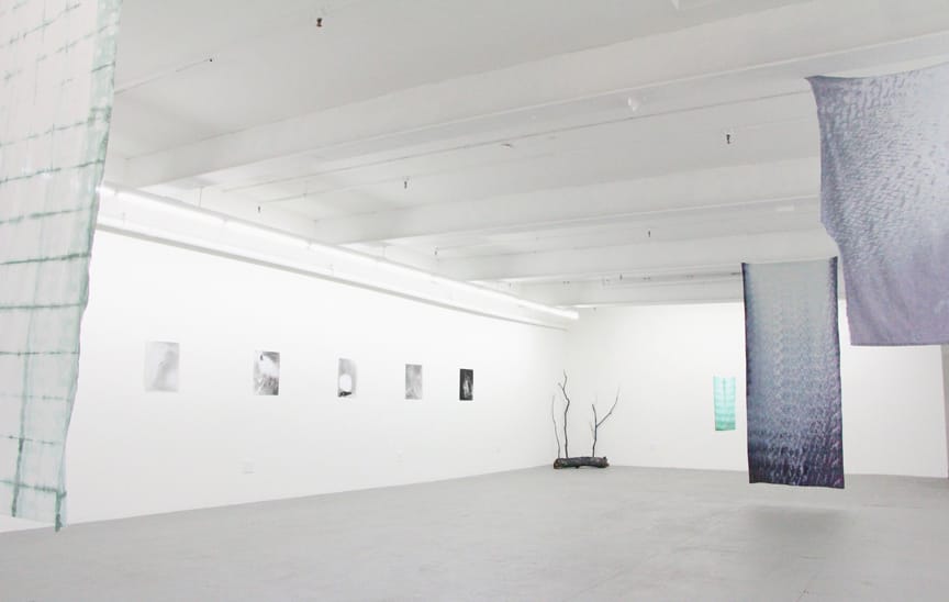 Installation view of Allison Somers exhibition 'Enfolding' at Microscope Gallery (photo © 2014 Microscope Gallery)