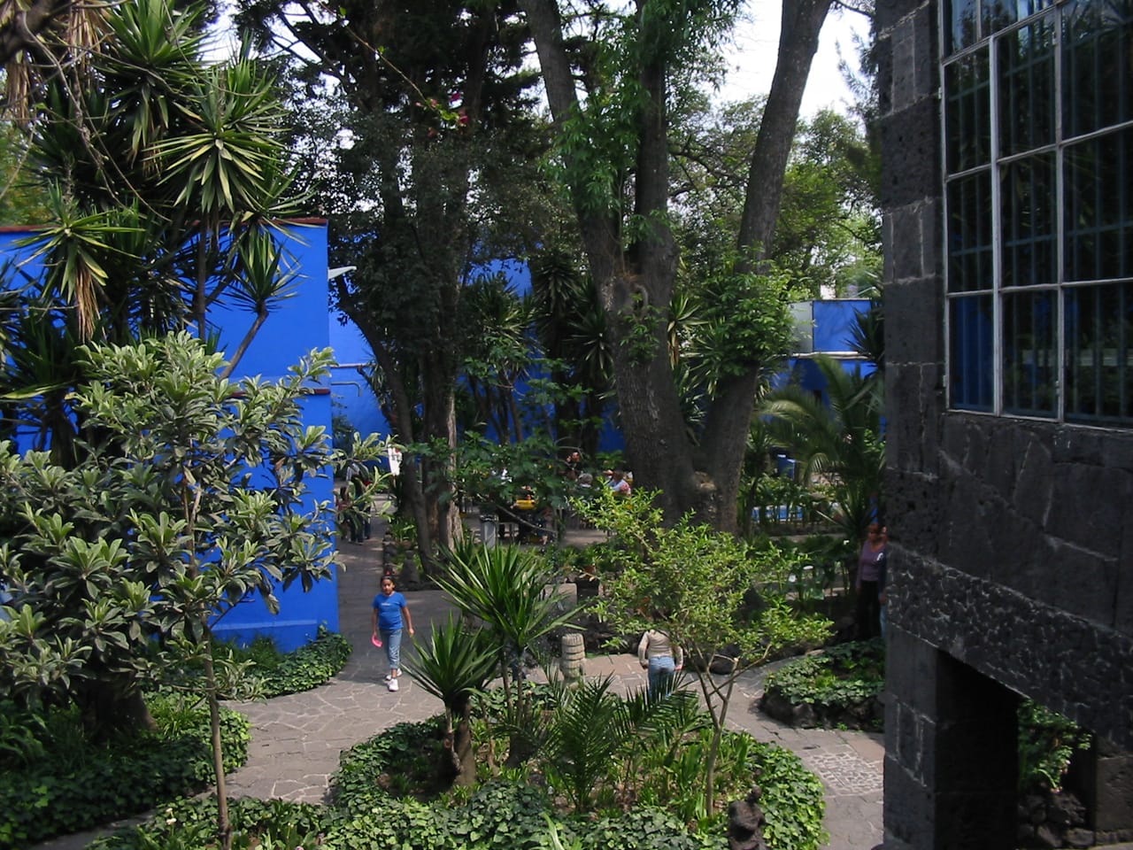 The garden today at the Museo Frida Kahlo, housed in the artist's former home, La Casa Azul (photo by Thelmadatter/Wikipedia)