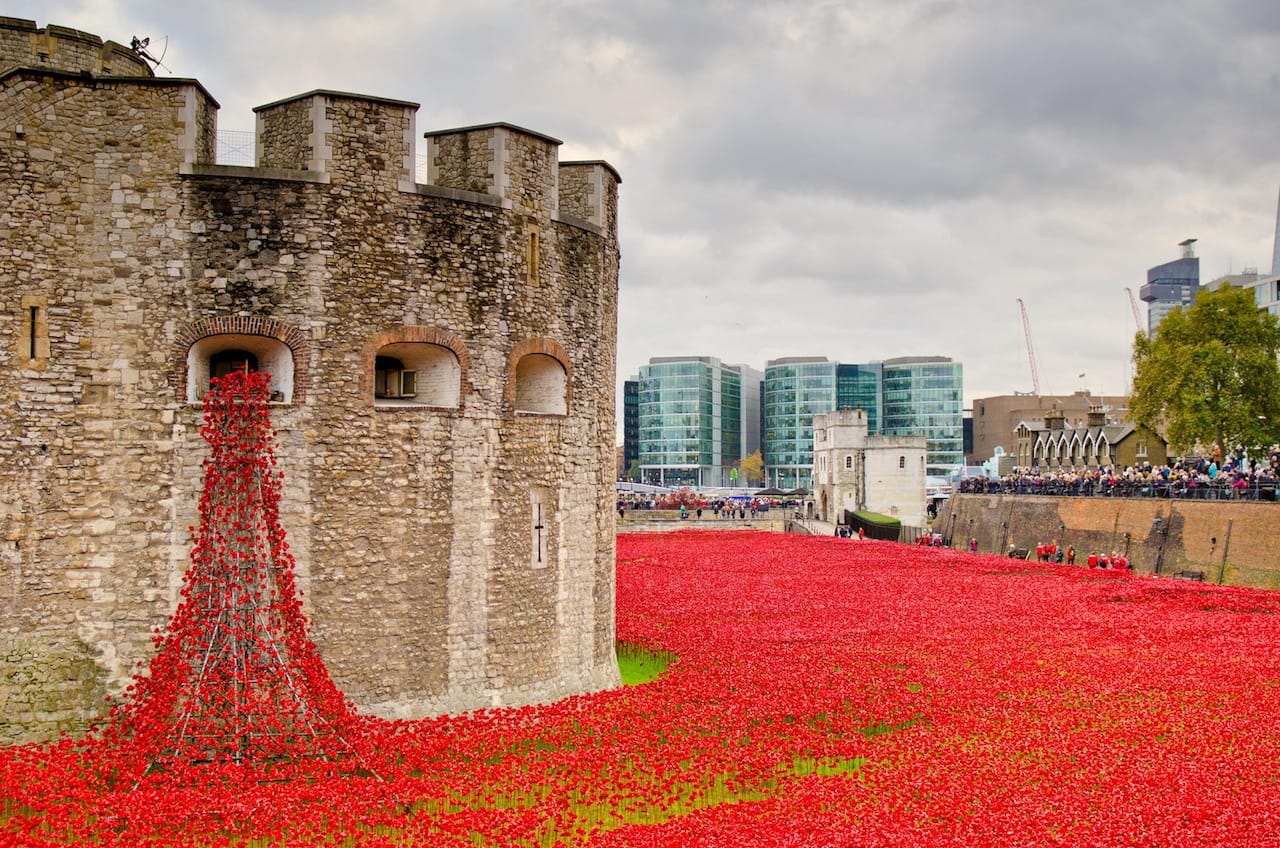 Poppies at the Tower of London (photograph by Niz Mohamed, via Flickr)