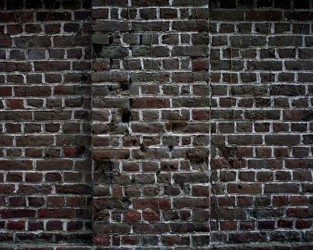 "Private Herbert Chase, 04:30 / 11.6.1915, Sint-Sixtusabdij, Proven, Westvleteren" by Chloe Dewe Mathews, 2013 