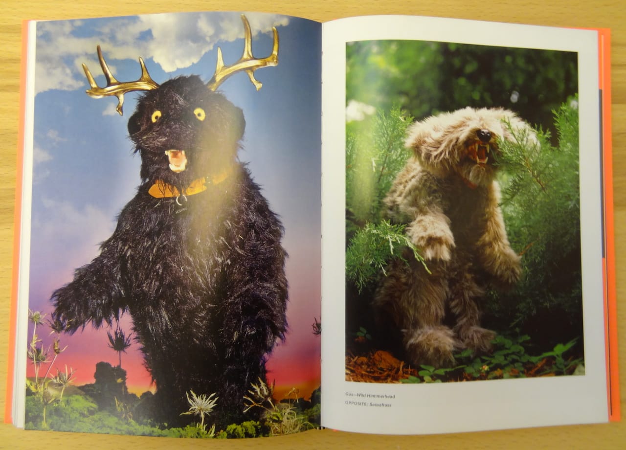 Works by Robert Marbury in 'Taxidermy Art' (all photos by Benjamin Sutton for Hyperallergic unless indicated otherwise)