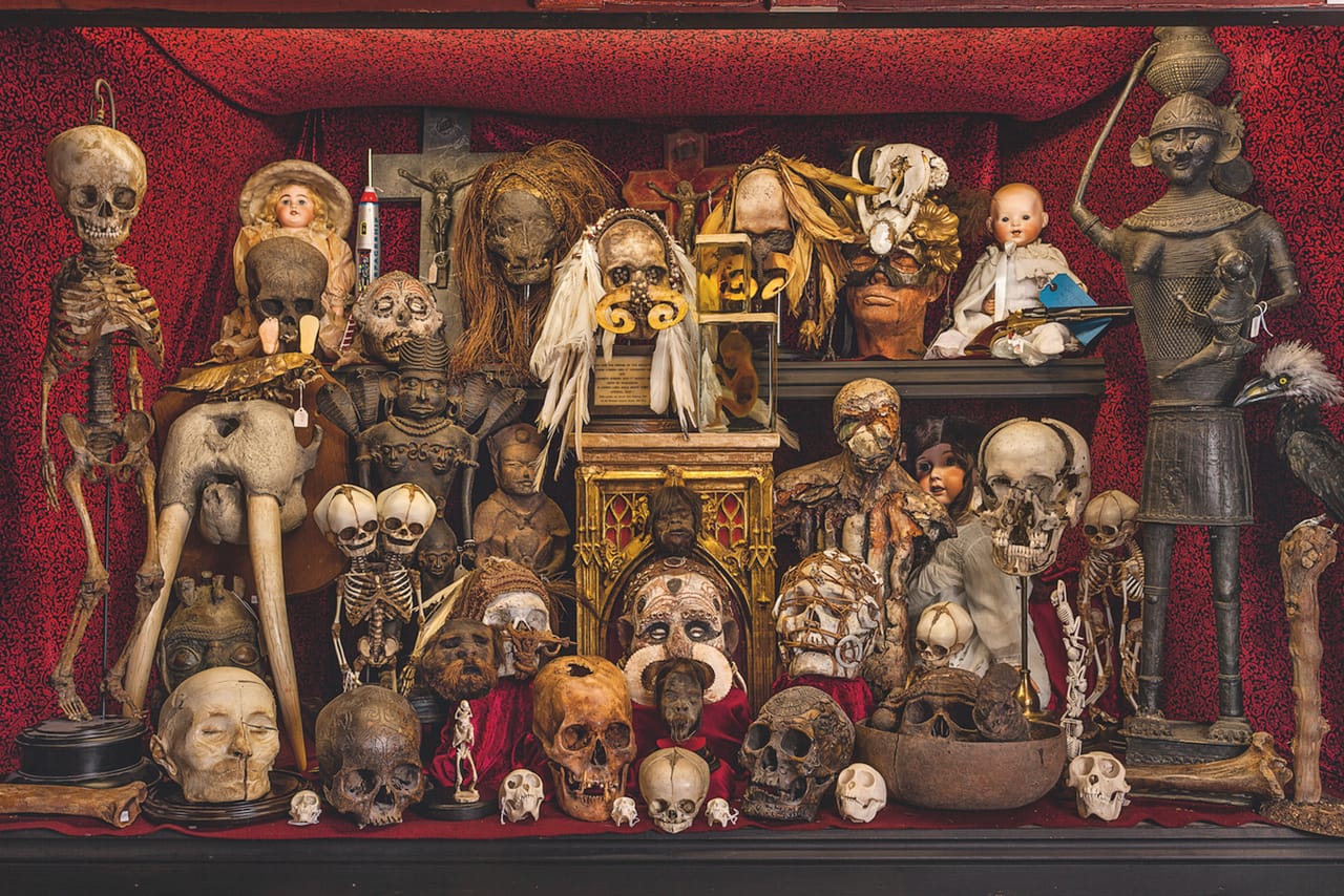 Cabinet of Death (photograph by Oskar Proctor)