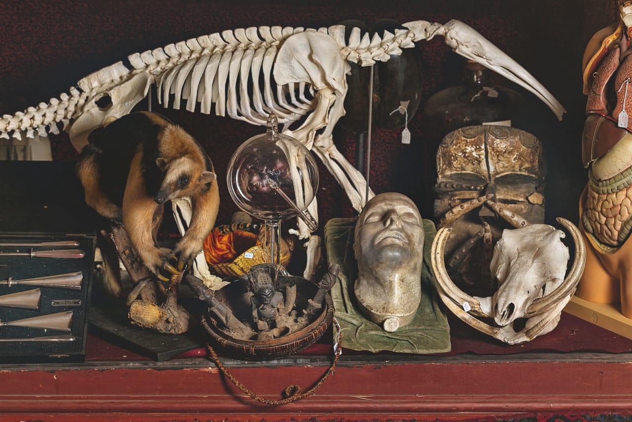 Napoleon's death mask & other objects (photograph by Oskar Proctor)