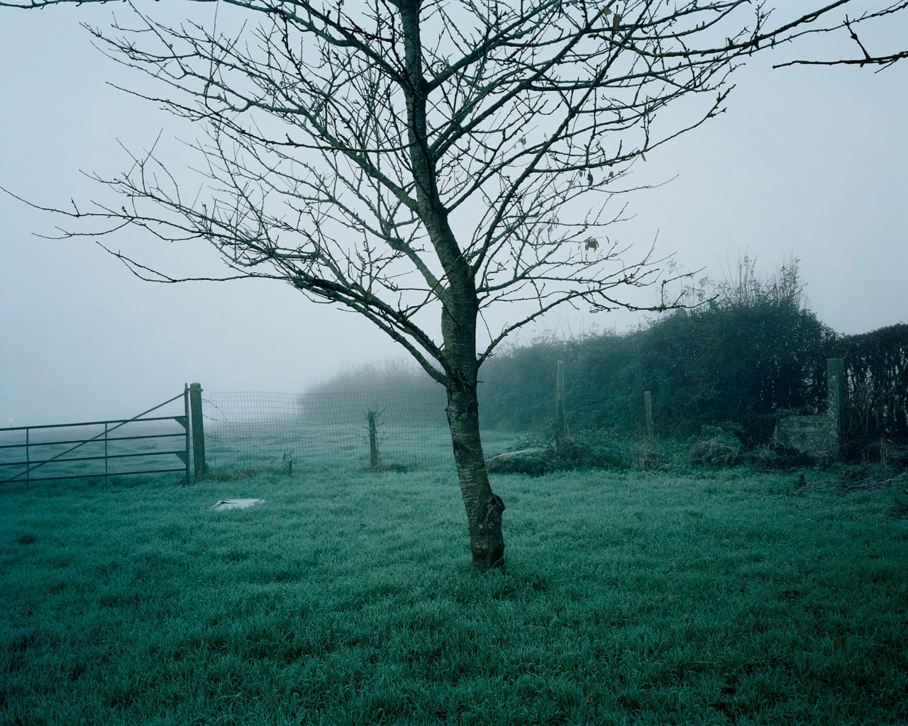 "Private Joseph Byers,  Private Andrew Evans,  Time unknown / 6.2.1915; Private George E. Collins, 07:30 / 15.2.1915; Six Farm, Loker, West-Vlaanderen" by Chloe Dewe Mathews, 2013  