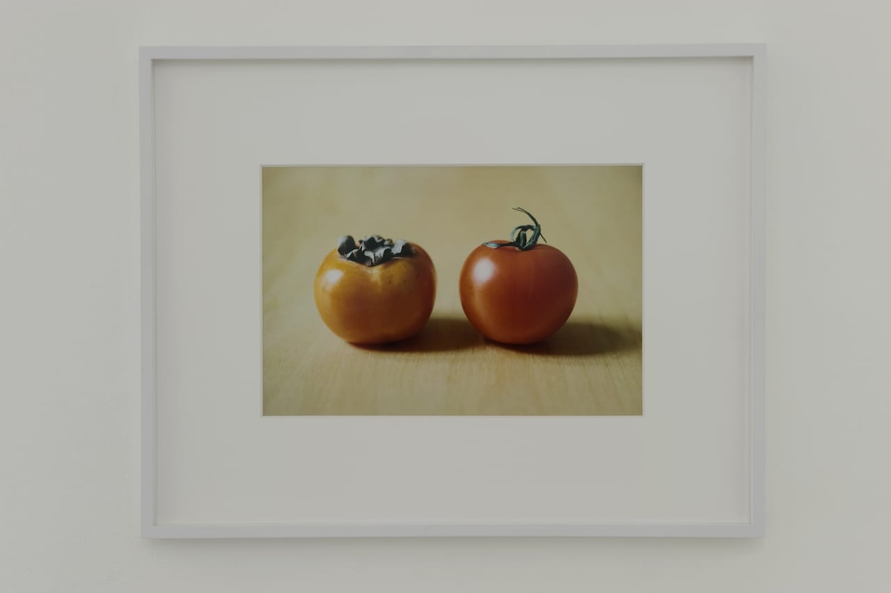 Shimabuku, Kaki and Tomato, 2008 // Courtesy Shimabuku et Air de Paris, Paris © Courtesy Shimabuku et Air de Paris, Paris/ Ph. Marc Domage