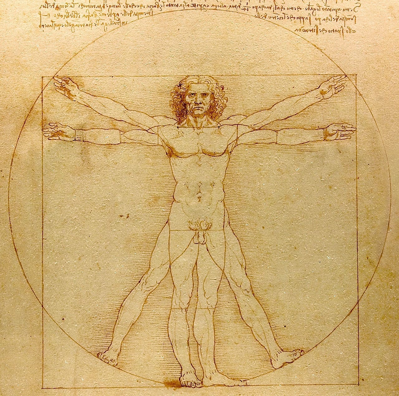 Leonardo Da Vinci's "Vitruvian Man" exemplifies the original "Renaissance Man's" measuring of the scientific and artistic (via Wikipedia)