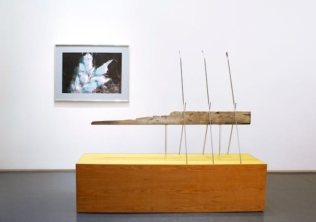 Installation view, ‘Ian Pedigo: Cosmopolitan Sleep Positions’ at Klaus von Nichtssagend Gallery (courtesy Klaus von Nichtssagend Gallery)