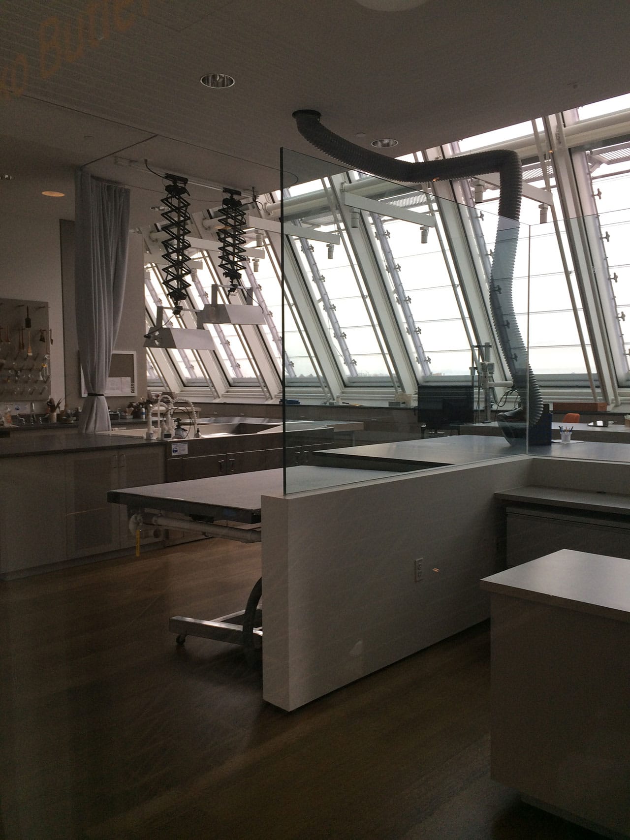A new visible conservation lab